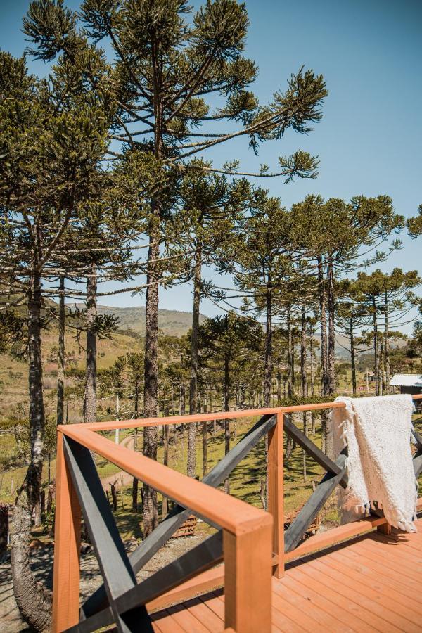Urubici - Da Montanha * Mundo Novo (Maranhao)