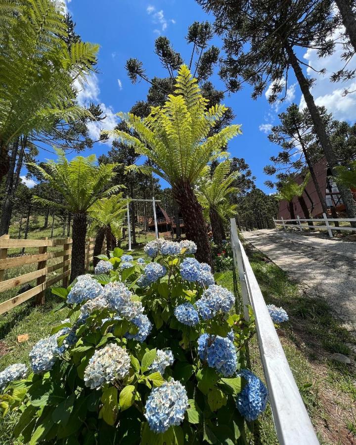 Urubici - Da Montanha Apartment *